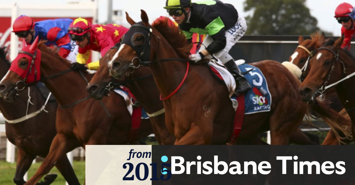 Racing identity Bill Carter to be honoured